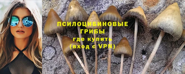 мяу мяу мука Богородицк