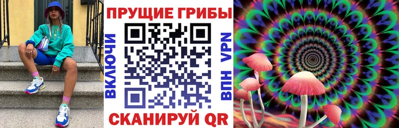 Псилоцибиновые грибы Magic Shrooms  цены наркотик  blacksprut зеркало  Валуйки 